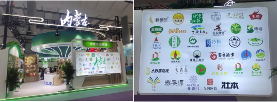 呼和浩特林草产品亮相世界舞台，技术交流引领绿色发展新风尚