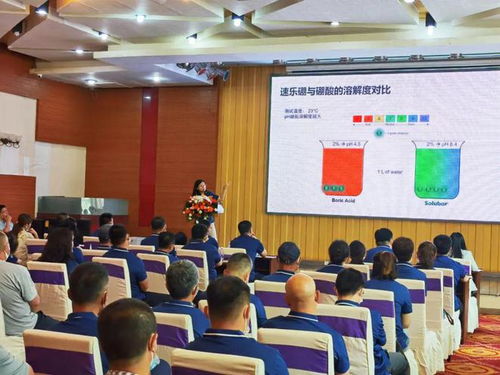 跨越国界的农业技术交流 共享知识与创新未来